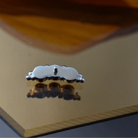 BVLA panaraya - Picture 4 of 4